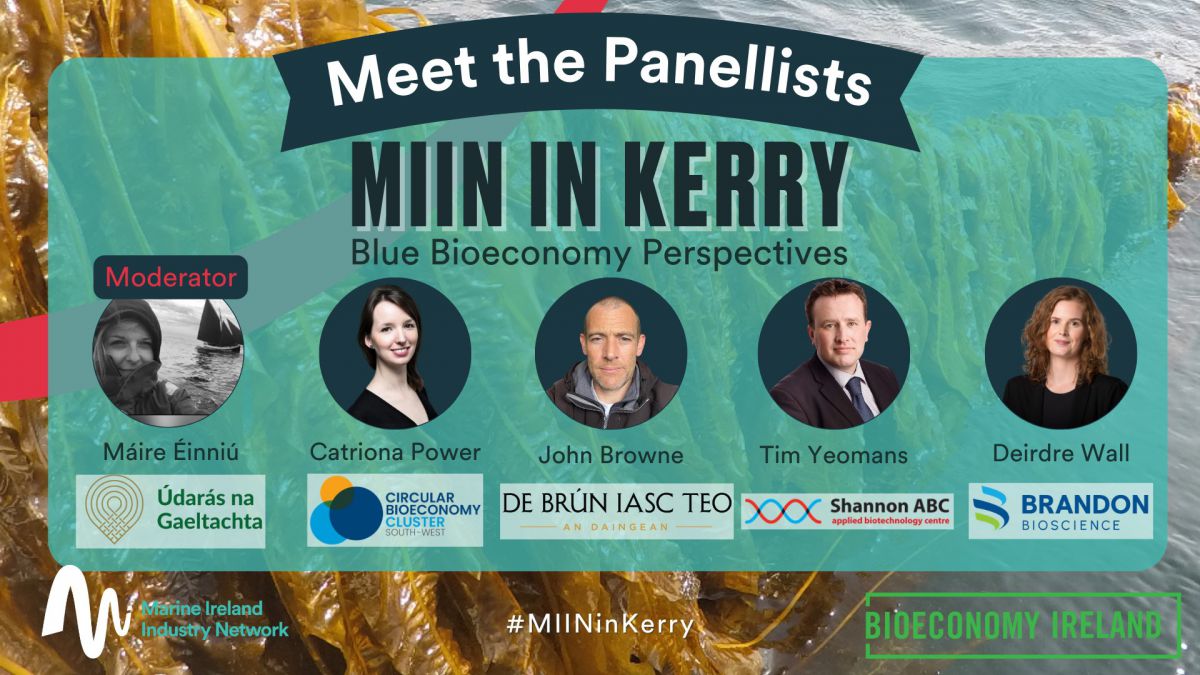 MIIN in Kerry Blue Bioeconomy Perspectives info