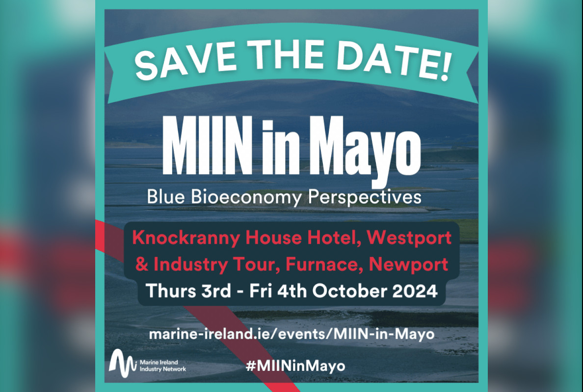 MIIN in Mayo poster