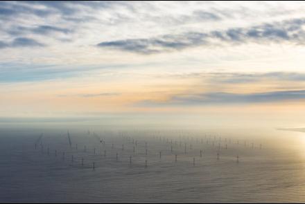 A picture of an offshore wind farm
