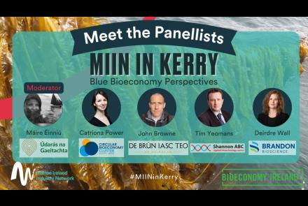 MIIN in Kerry Blue Bioeconomy Perspectives info