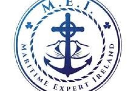MEI Logo